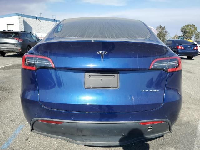 2020 Tesla Model Y