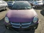 2005 Dodge Neon SXT