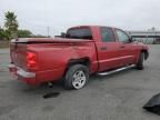 2007 Dodge Dakota Quad SLT