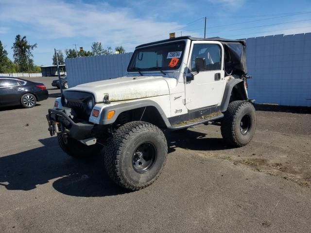 2002 Jeep Wrangler / TJ Sport