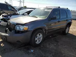 Salvage cars for sale at Elgin, IL auction: 2006 Ford Escape XLS