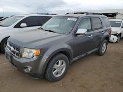 Salvage cars for sale at Brighton, CO auction: 2011 Ford Escape XLT