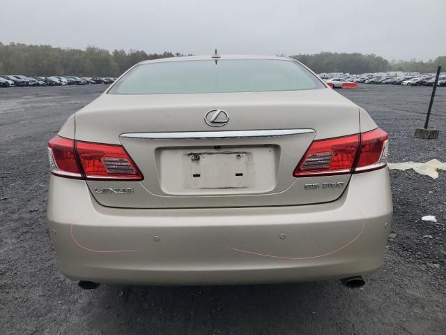 2010 Lexus ES 350