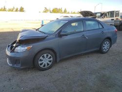 2013 Toyota Corolla Base en venta en Nisku, AB