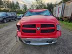 2017 Dodge RAM 1500 SLT