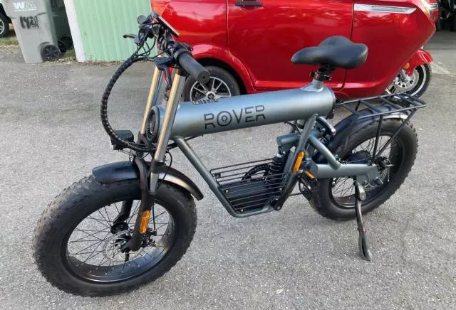 2021 Other Moped