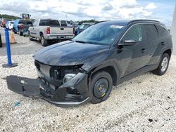 Salvage Cars with No Bids Yet For Sale at auction: 2024 Hyundai Tucson SEL