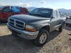 2004 Dodge Dakota Quad SLT