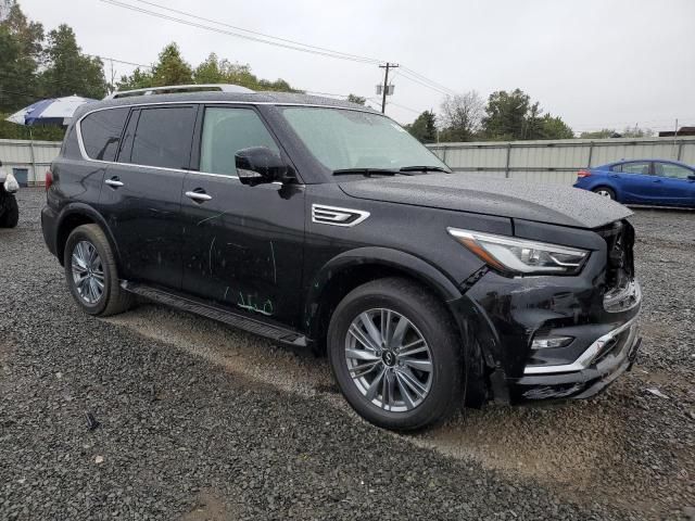 2023 Infiniti QX80 Luxe