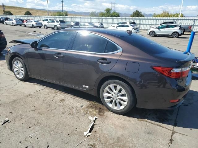 2014 Lexus ES 300H