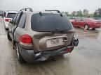 2005 Hyundai Santa FE GLS