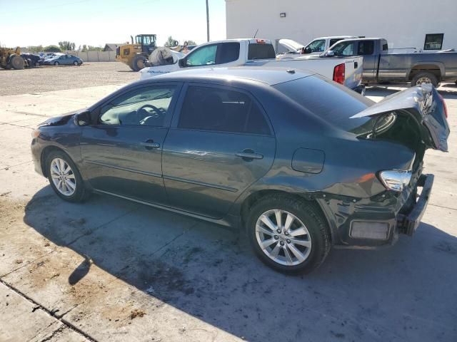 2009 Toyota Corolla Base