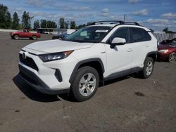 Salvage cars for sale from Copart Portland, OR: 2020 Toyota Rav4 LE