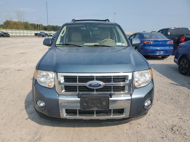 2011 Ford Escape Limited