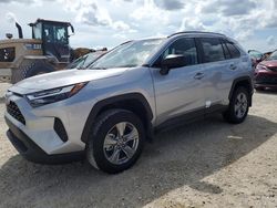 Salvage cars for sale at Arcadia, FL auction: 2024 Toyota Rav4 LE