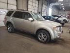 2010 Ford Escape Limited