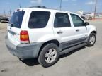 2005 Ford Escape HEV