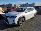 2021 Lexus UX 200