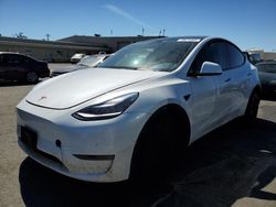 Salvage cars for sale at Martinez, CA auction: 2021 Tesla Model Y