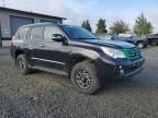 2012 Lexus GX 460