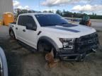 2017 Ford F150 Raptor