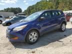 2014 Ford Escape S