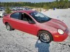 2005 Dodge Neon SXT