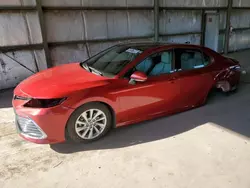 Salvage cars for sale at Phoenix, AZ auction: 2023 Toyota Camry XLE