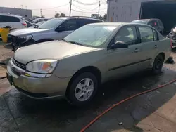 Chevrolet salvage cars for sale: 2005 Chevrolet Malibu