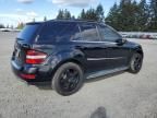 2011 Mercedes-Benz ML 350 Bluetec