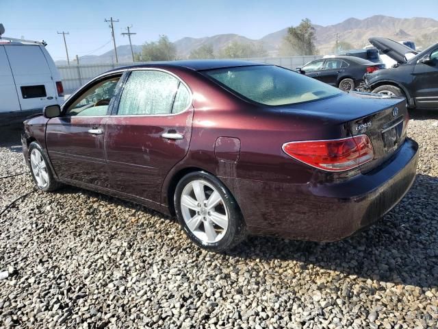 2005 Lexus ES 330