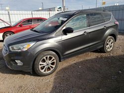 Ford salvage cars for sale: 2017 Ford Escape SE