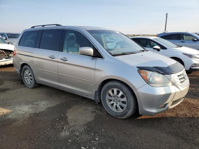 2009 Honda Odyssey EXL