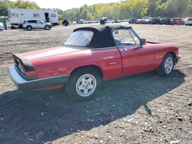 1986 Alfa Romeo Veloce 2000 Spider