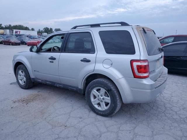 2010 Ford Escape Hybrid