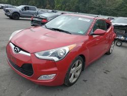 Salvage cars for sale at Glassboro, NJ auction: 2014 Hyundai Veloster