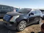 2011 Cadillac SRX Premium Collection