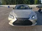 2021 Lexus ES 350 Base