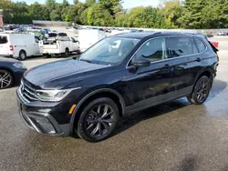 Volkswagen salvage cars for sale: 2024 Volkswagen Tiguan SE