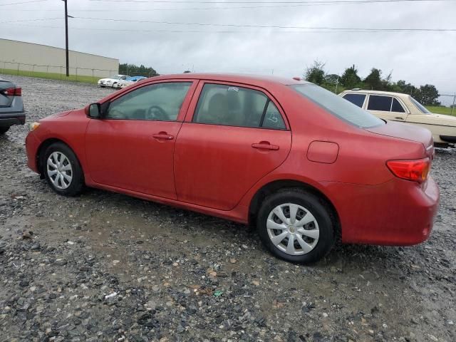 2010 Toyota Corolla Base