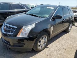 Salvage cars for sale at Tucson, AZ auction: 2010 Cadillac SRX Luxury Collection