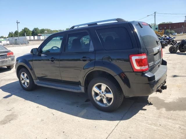 2010 Ford Escape Limited