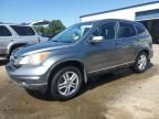 2010 Honda CR-V EXL