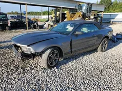 Salvage cars for sale at Memphis, TN auction: 2010 Ford Mustang