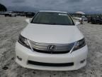 2010 Lexus HS 250H