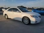 2009 Toyota Camry Hybrid