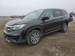 Salvage cars for sale at San Diego, CA auction: 2019 Honda Pilot EX