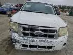 2009 Ford Escape XLS