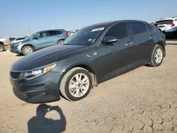 Salvage cars for sale at Amarillo, TX auction: 2016 KIA Optima LX