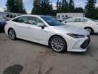 2019 Toyota Avalon XLE